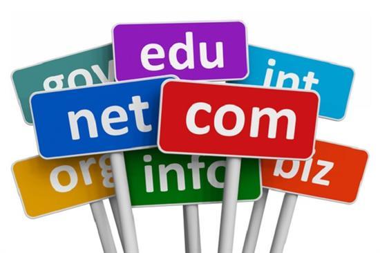 互联网空间的新机遇:新通用顶级域名
